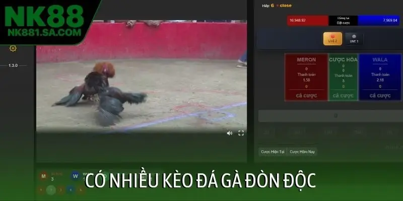 Có nhiều kèo đá gà đòn độc
