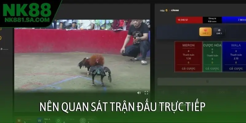 Nên quan sát trận đấu trực tiếp