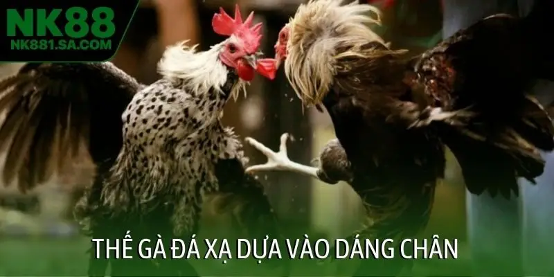 Thế gà đá xạ dựa vào dáng chân