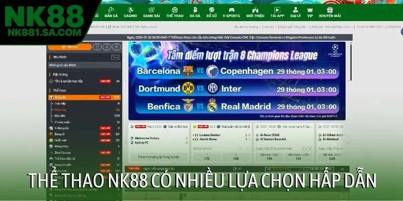 Thể thao NK88 có nhiều lựa chọn hấp dẫn