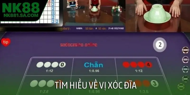 Tìm hiểu về vị xóc đĩa